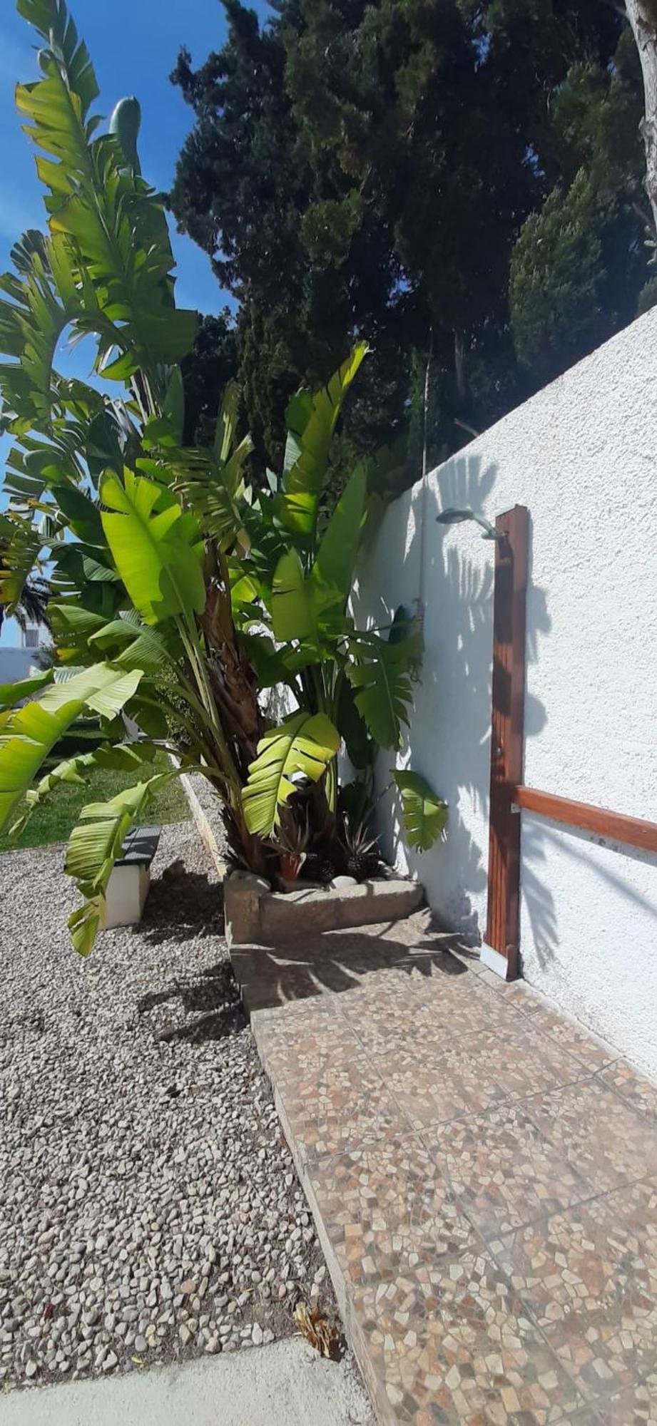 Casa Tinac Daire Sant Carlos de la Ràpita Dış mekan fotoğraf