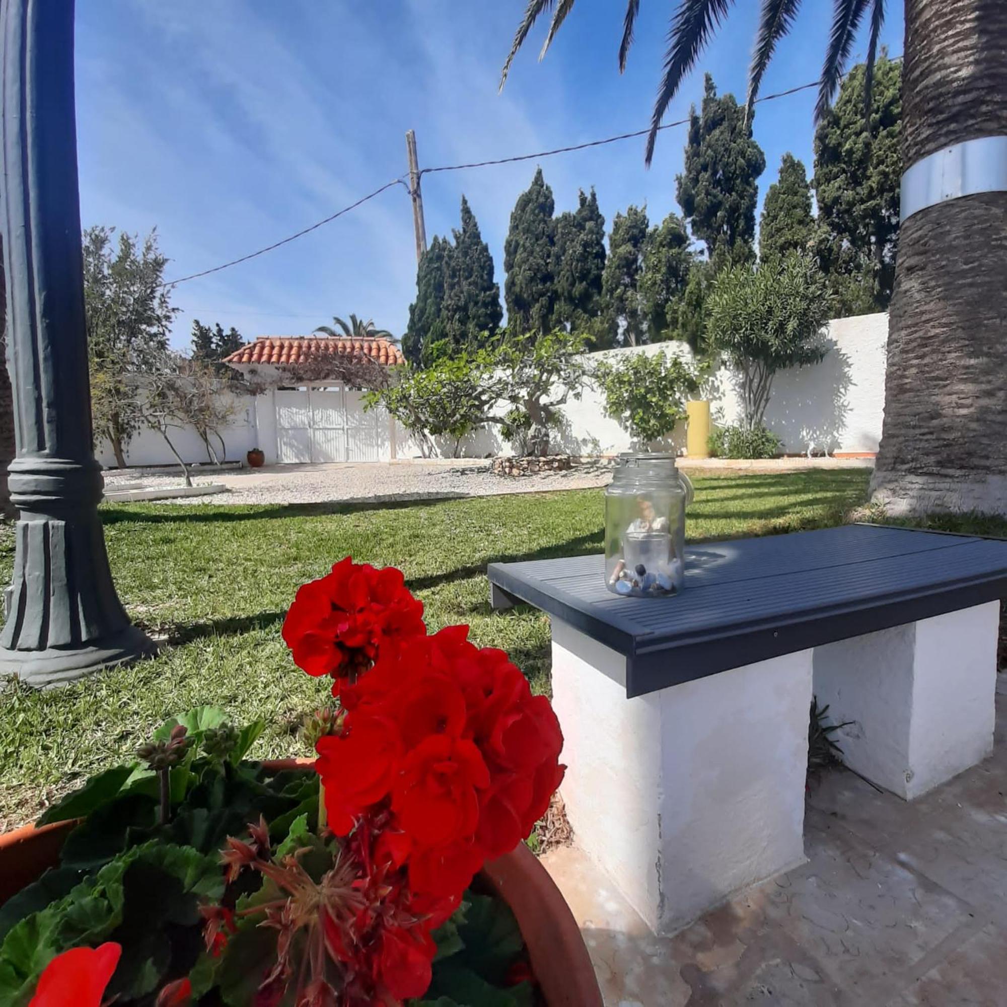 Casa Tinac Daire Sant Carlos de la Ràpita Dış mekan fotoğraf